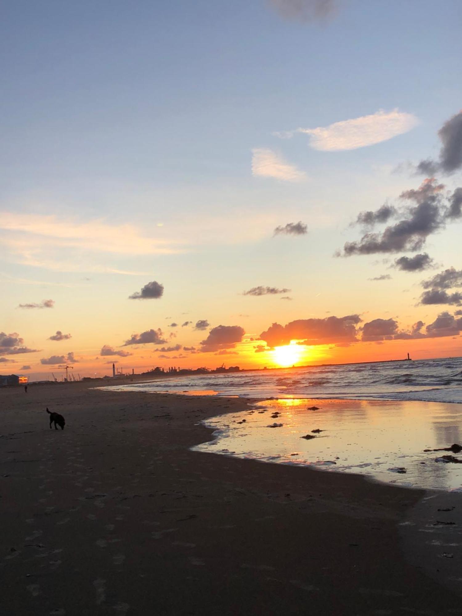 Appartement Sur La Plage De Malo Les Bains Vue Mer Dunkirk Екстер'єр фото